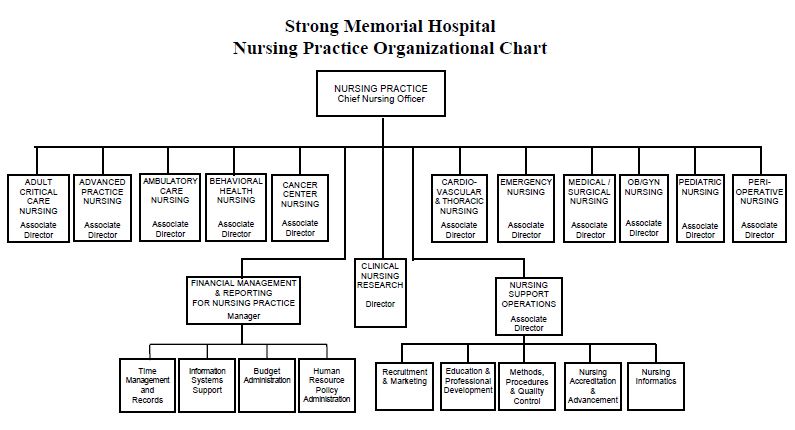 hospital departments structure